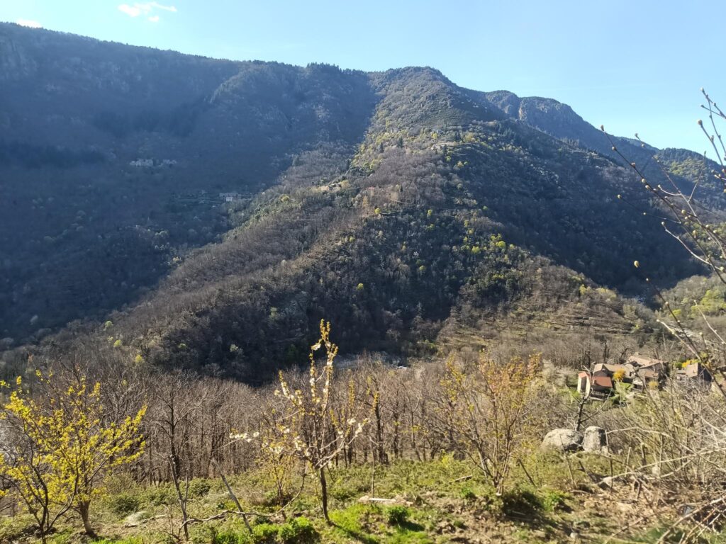 Paysage naturel autour de la micro-ferme Au Bois Tordu