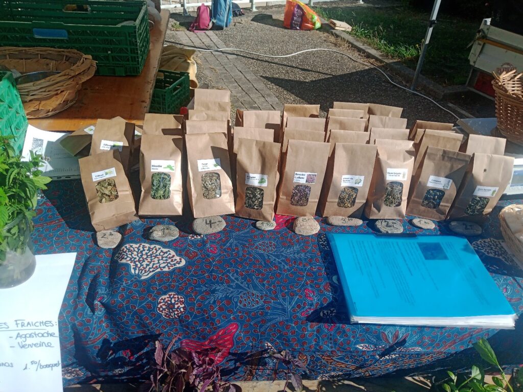 Les plantes sèches des Simplicités présentées sur un marché